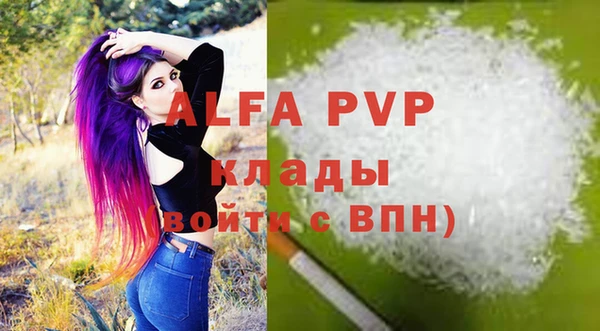 крисы Гусев